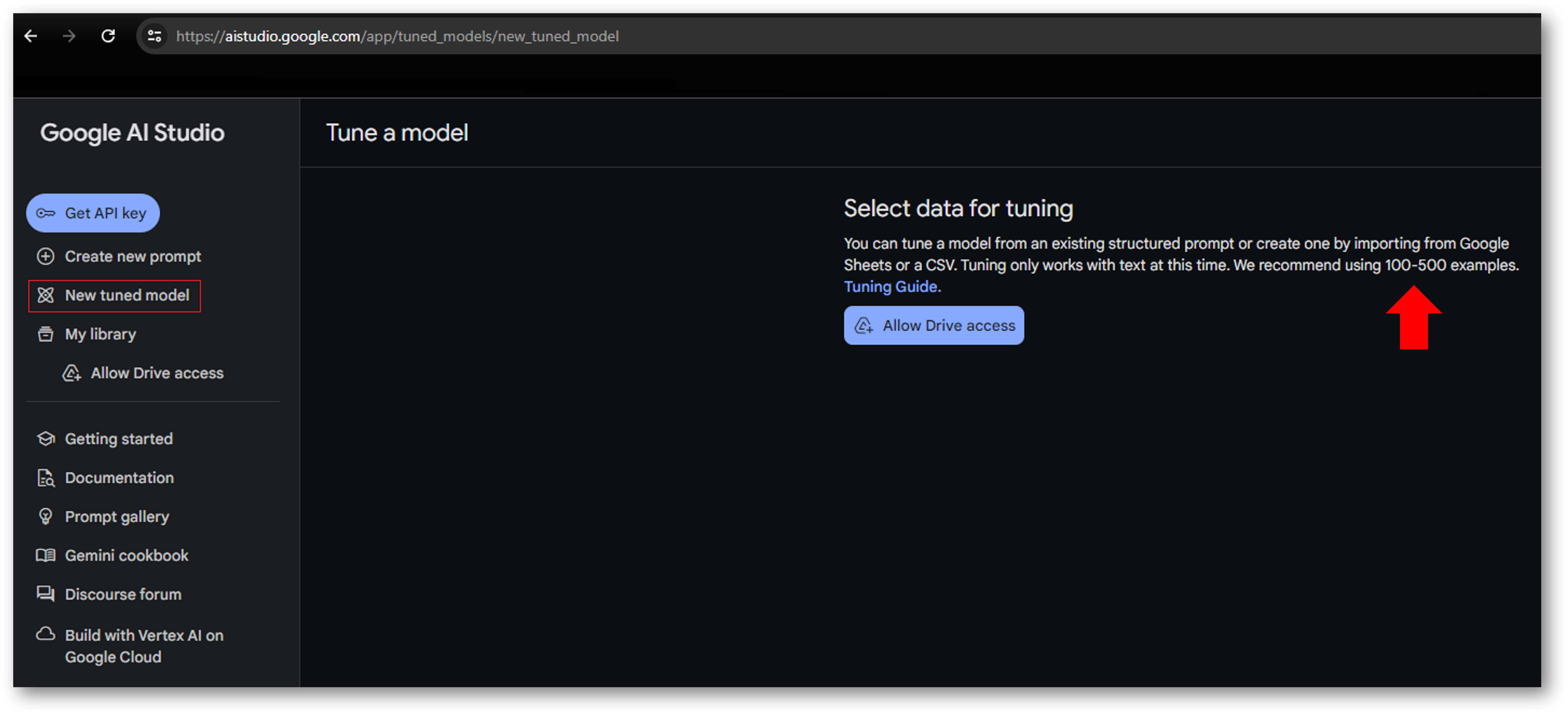 Fine-Tuning - google
